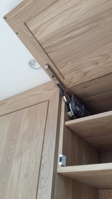 Détail du bras relevant